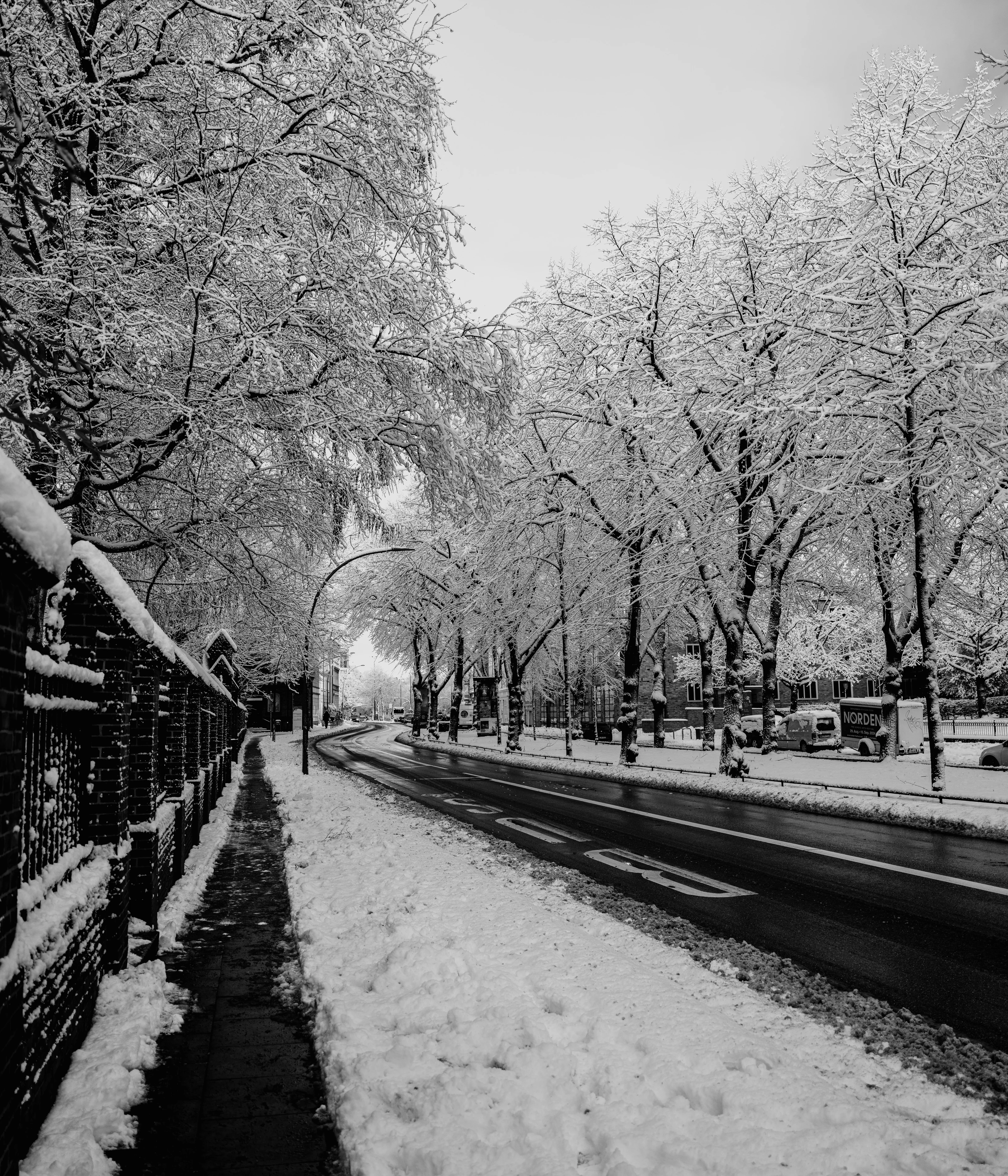Snow-covered trees line a winding road alongside a snowy sidewalk.