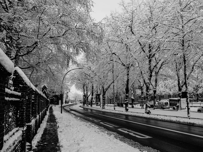 Snow-covered trees line a winding road alongside a snowy sidewalk.