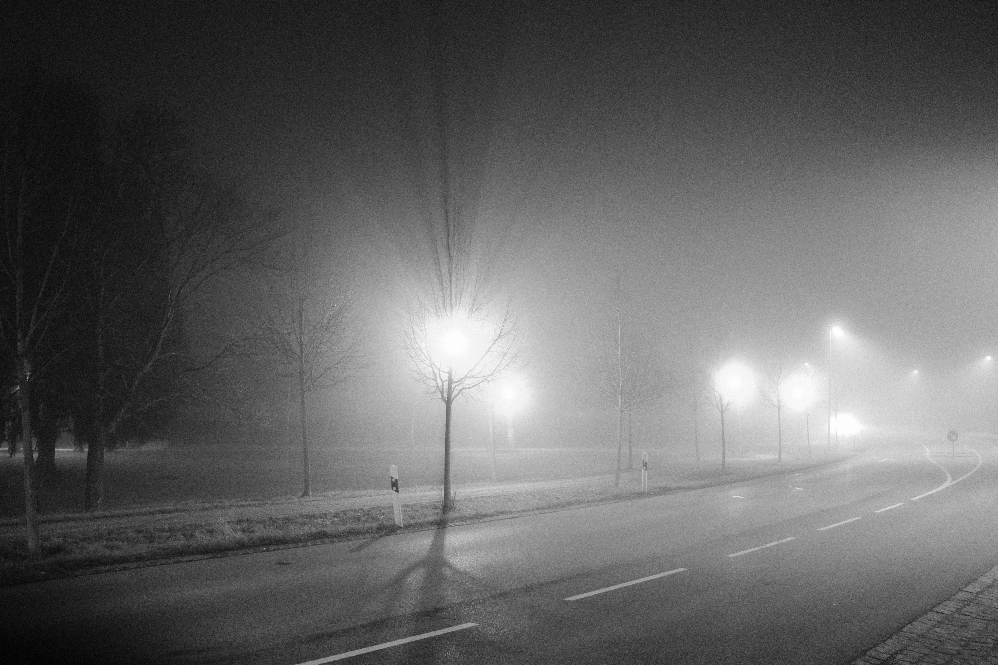 Foggy night street scene with glowing streetlights and barren trees.