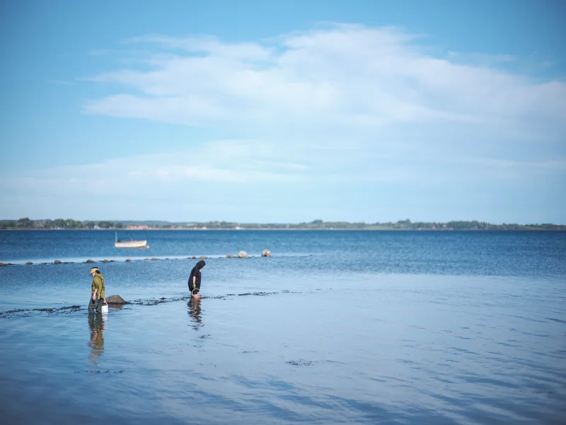 Two people wading in shallow water near the shoreline on a clear day.