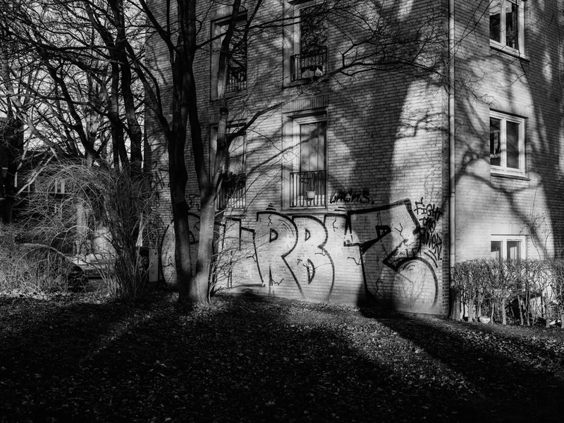 Graffiti on a brick building with tree shadows in a black and white photograph.