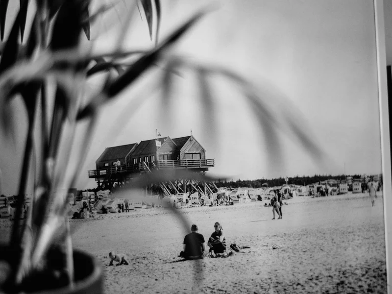Framed black and white beach photograph partially obscured by blurred plant leaves.