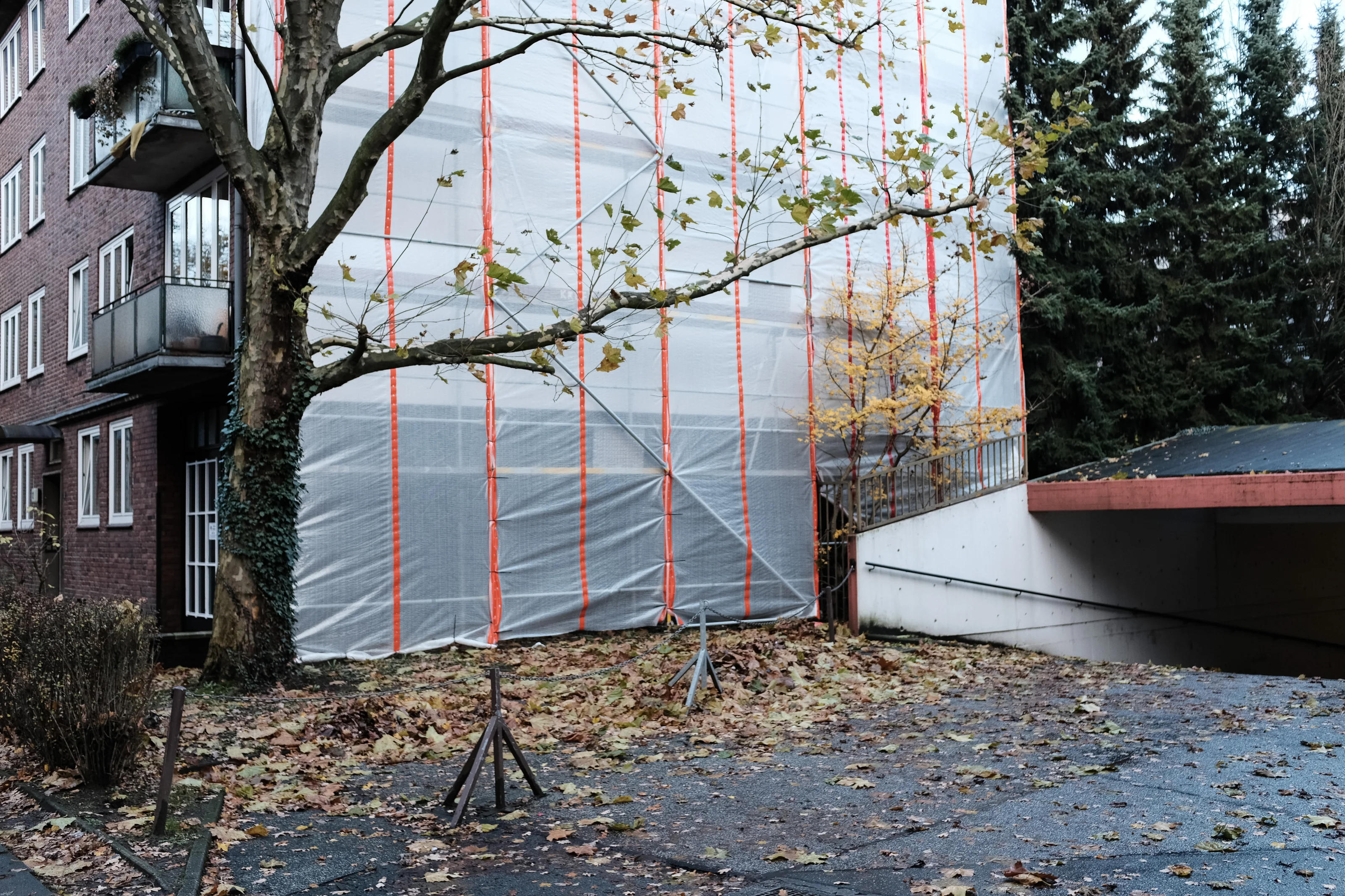Building under construction with tree and fallen leaves in the foreground.