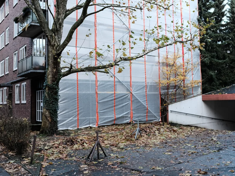 Building under construction with tree and fallen leaves in the foreground.