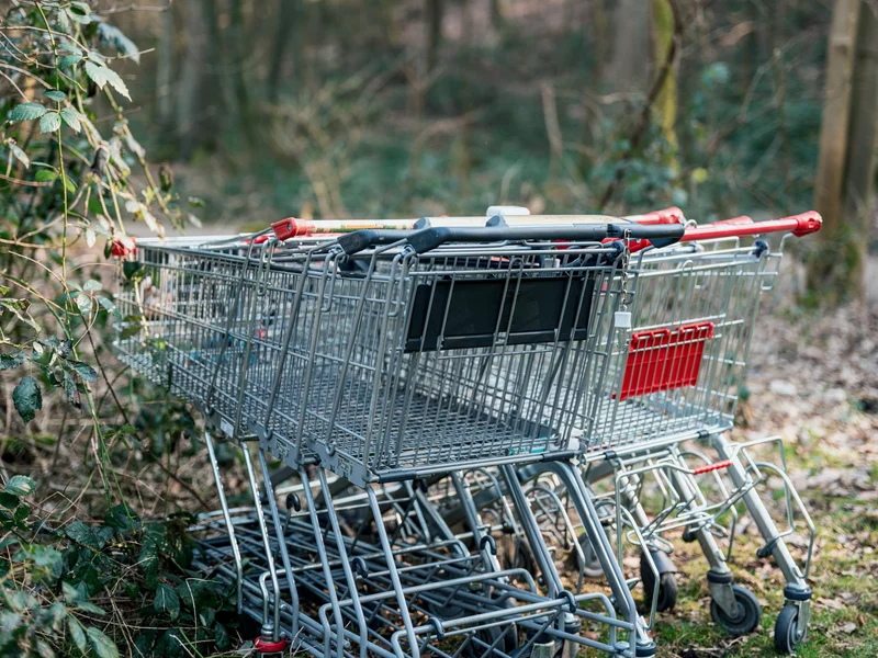 A group of abandoned shopping carts in a wooded area.