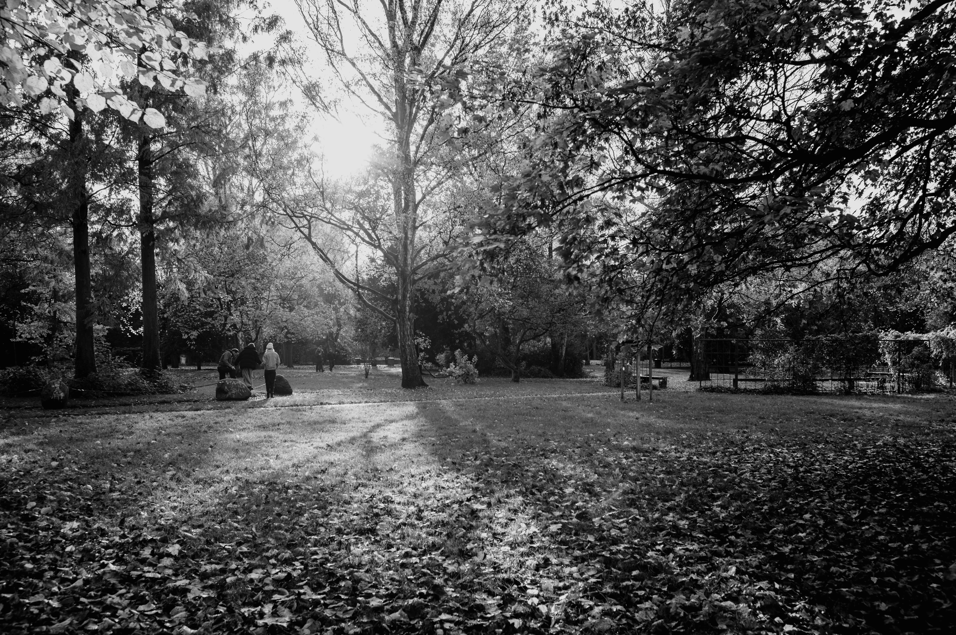 Black and white photo of a park with trees and people sitting on a bench, dappled sunlight filtering through leaves.