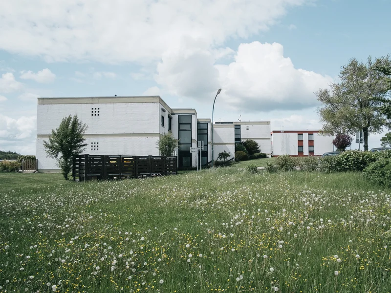 Modern white building surrounded by grassy field with scattered dandelions under a partly cloudy sky.