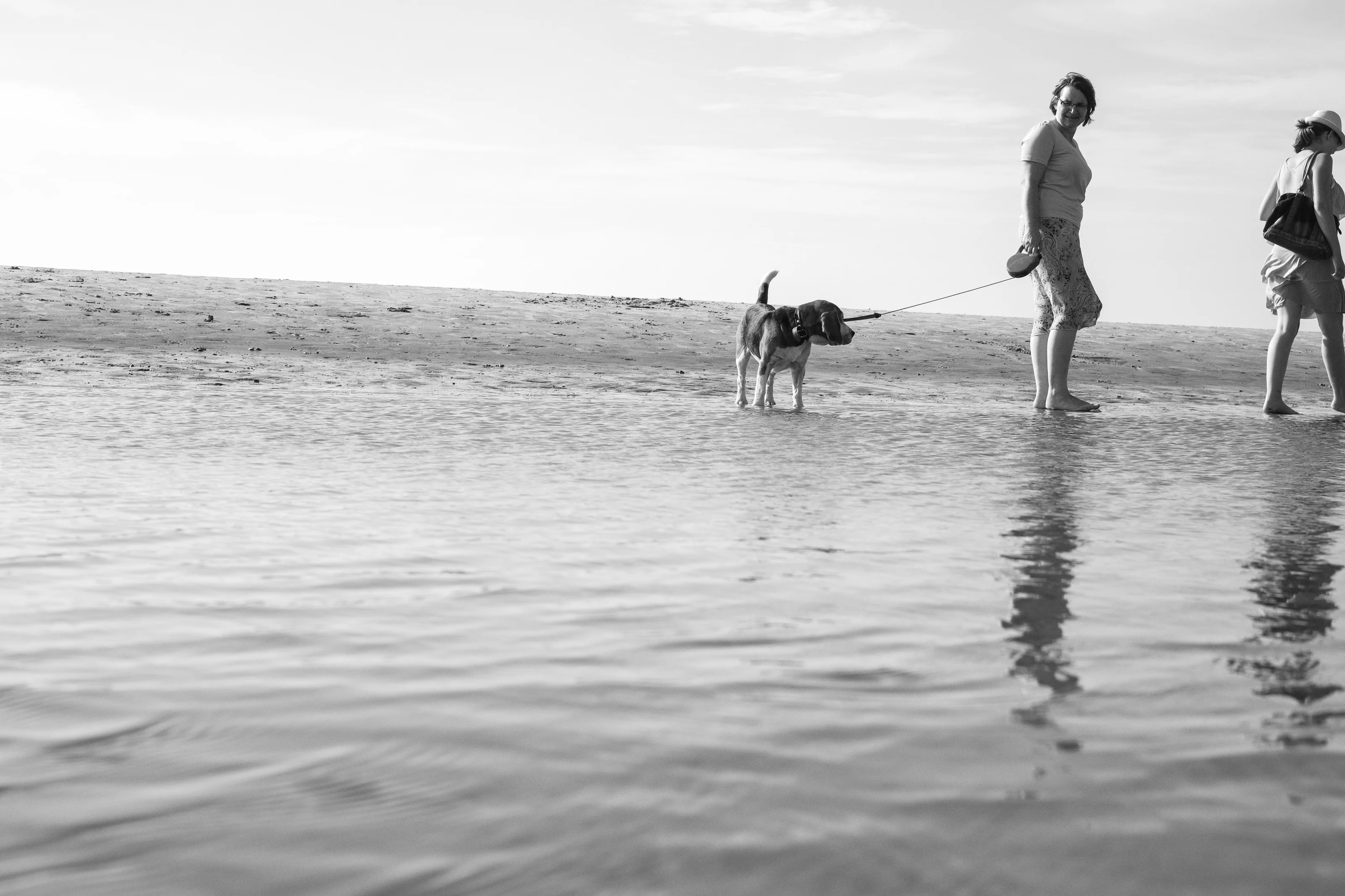 Two people walking a dog along a sandy beach.