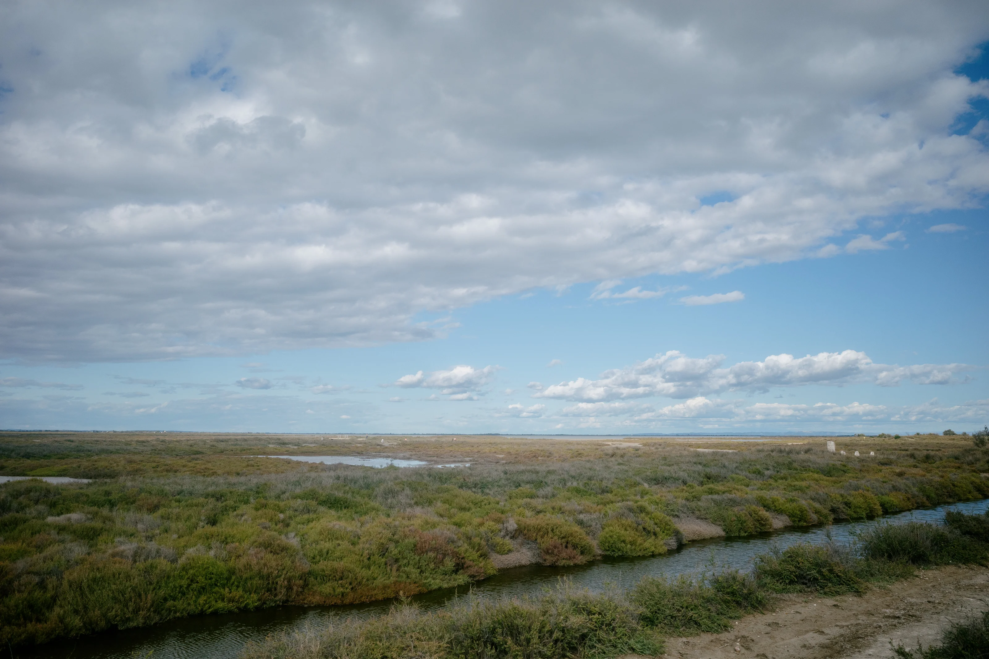 A marshland with patches of green vegetation under a cloudy sky.