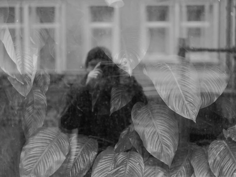 Monochrome reflection of a person taking a photo through a window with large leaves.