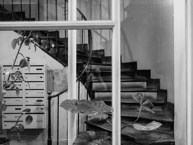 A black and white image of a spiral staircase behind a window with a potted plant and mailboxes.