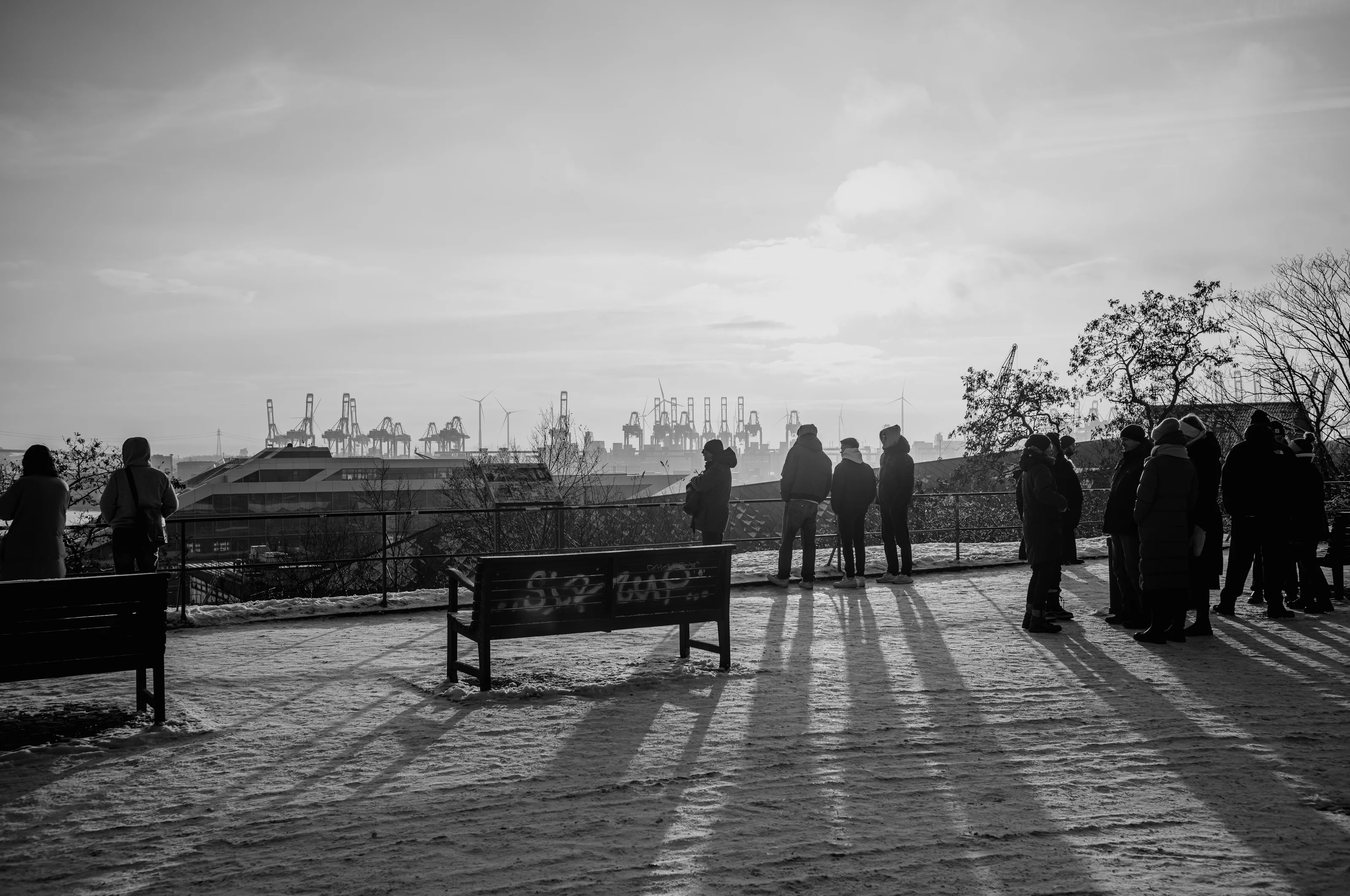 Silhouetted people stand on a snowy overlook with cranes in the distance.