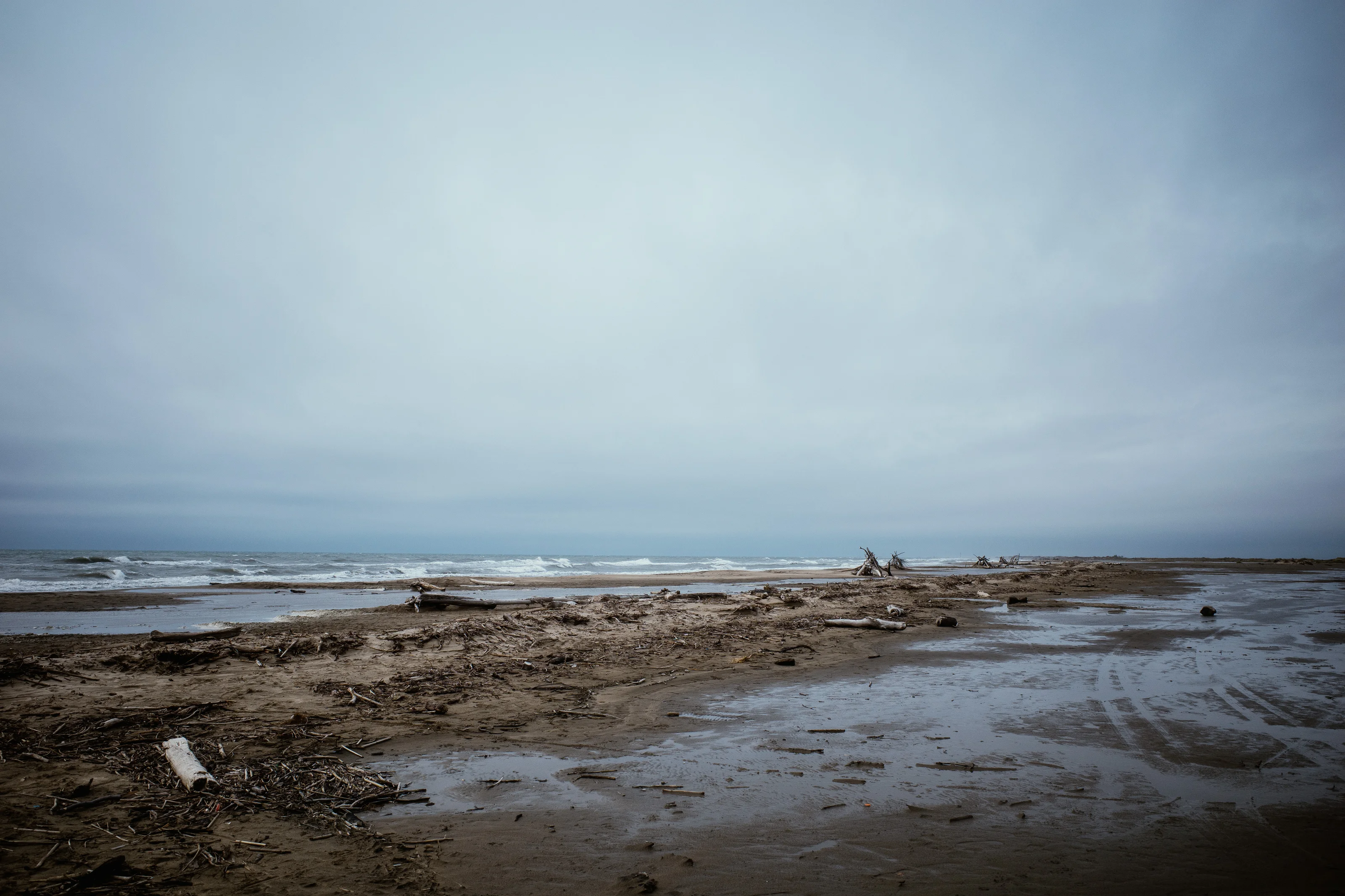 A deserted beach with driftwood and debris under a cloudy sky.