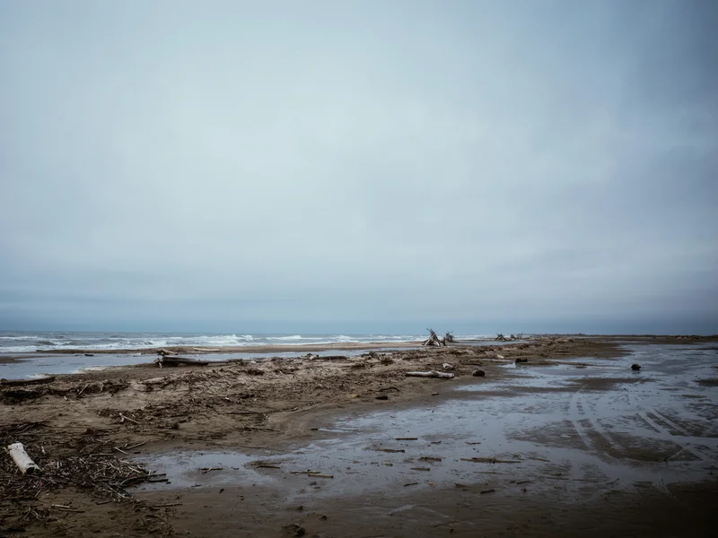 A deserted beach with driftwood and debris under a cloudy sky.