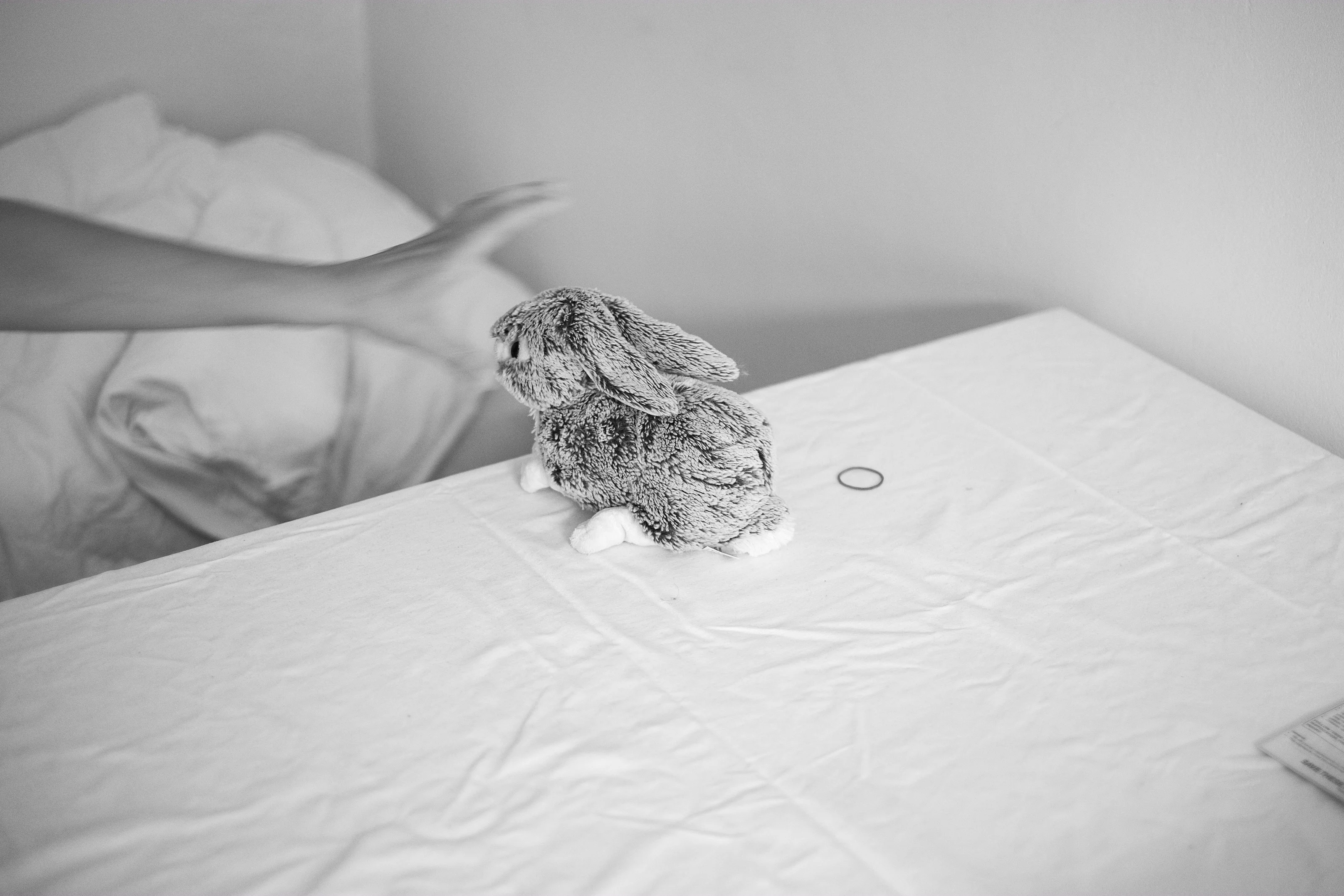 A plush rabbit toy on a sheet-covered surface with a hand reaching towards it.