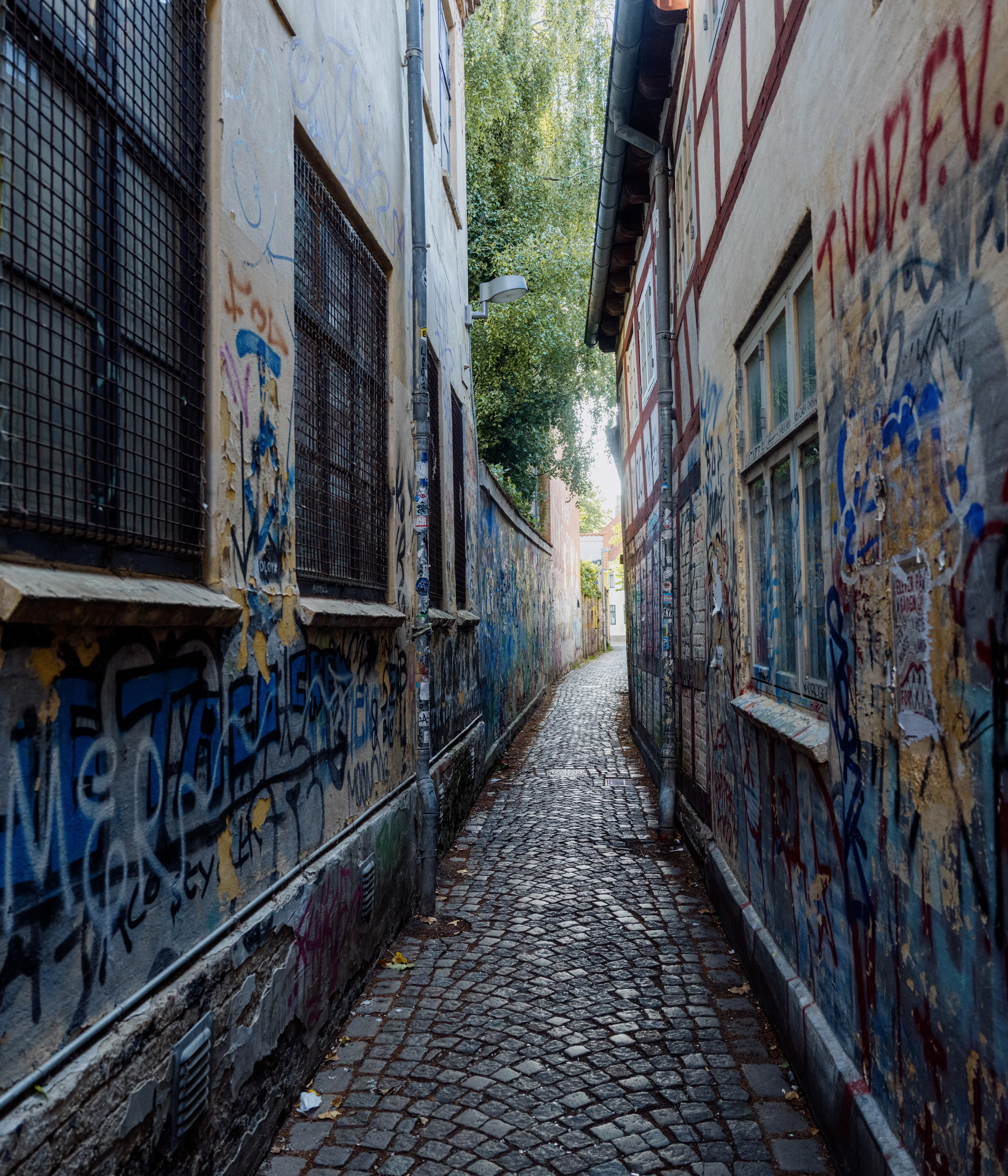 Narrow cobblestone alleyway with graffiti-covered walls and trees visible at the end.