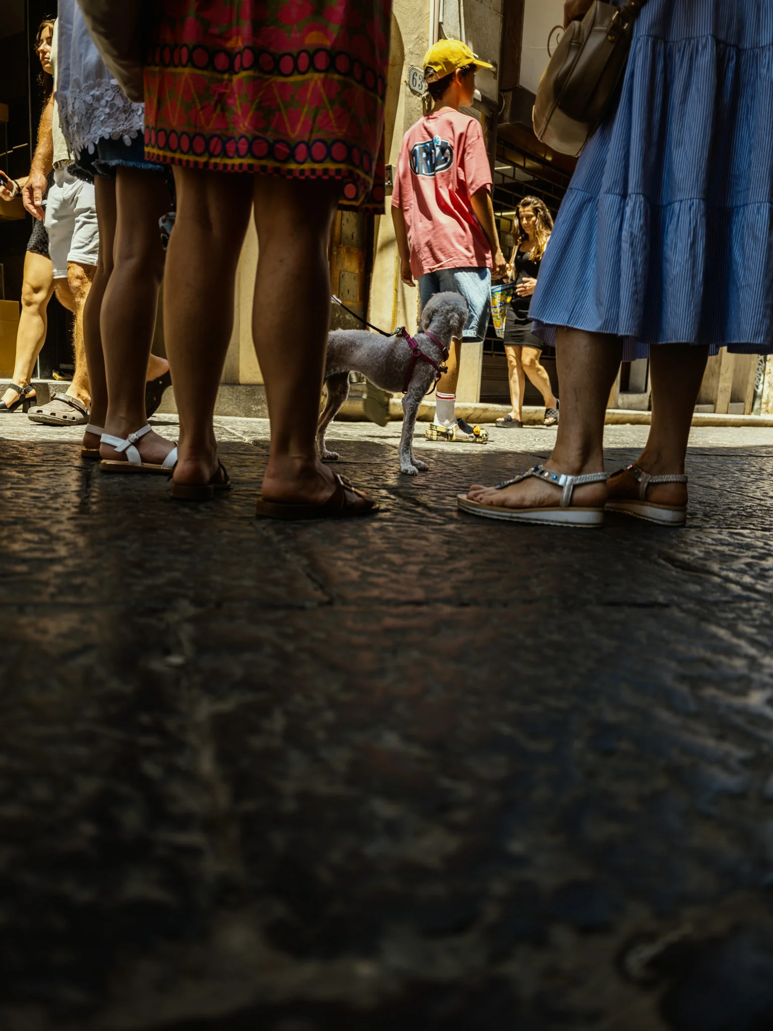 A small dog on a leash surrounded by people's legs on a sunny street.