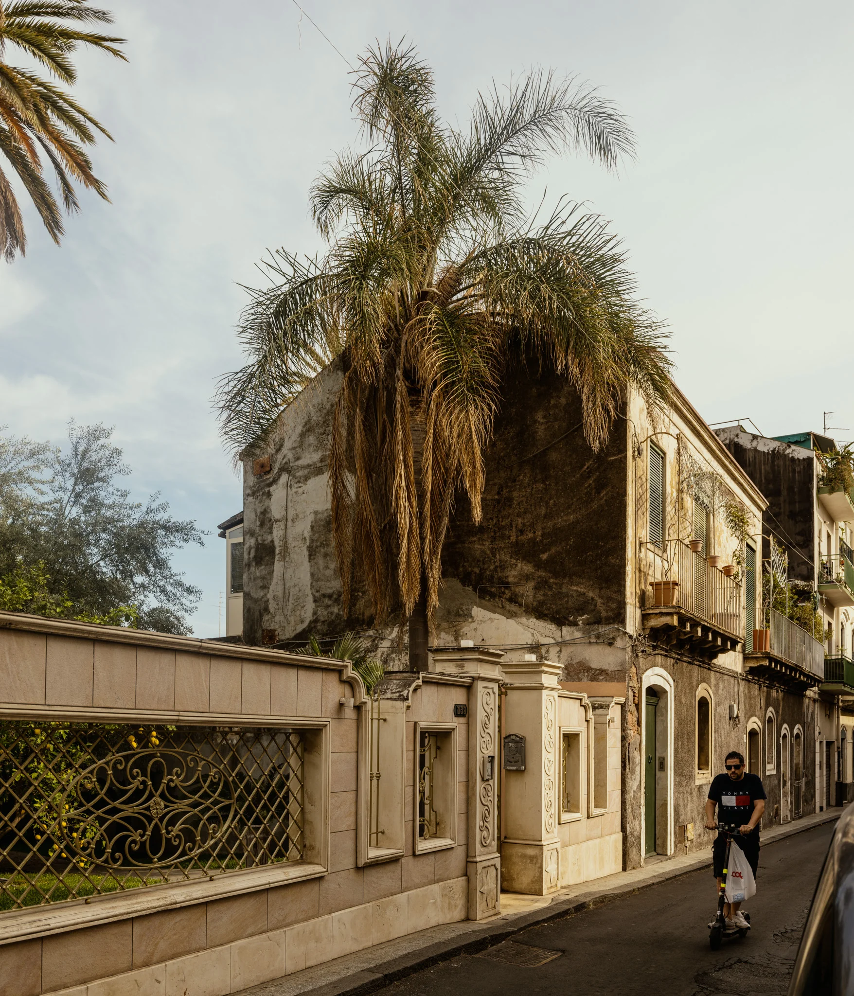 An old building with a palm tree and a person riding a scooter on the street.