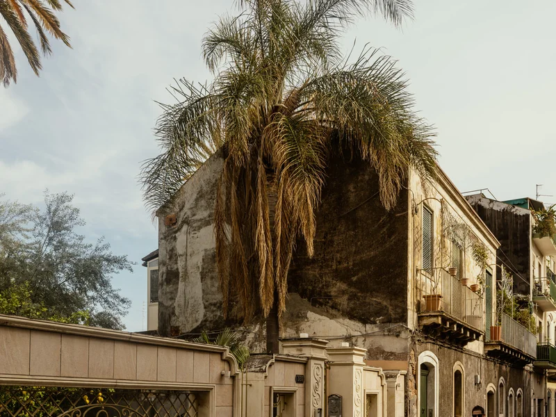 An old building with a palm tree and a person riding a scooter on the street.