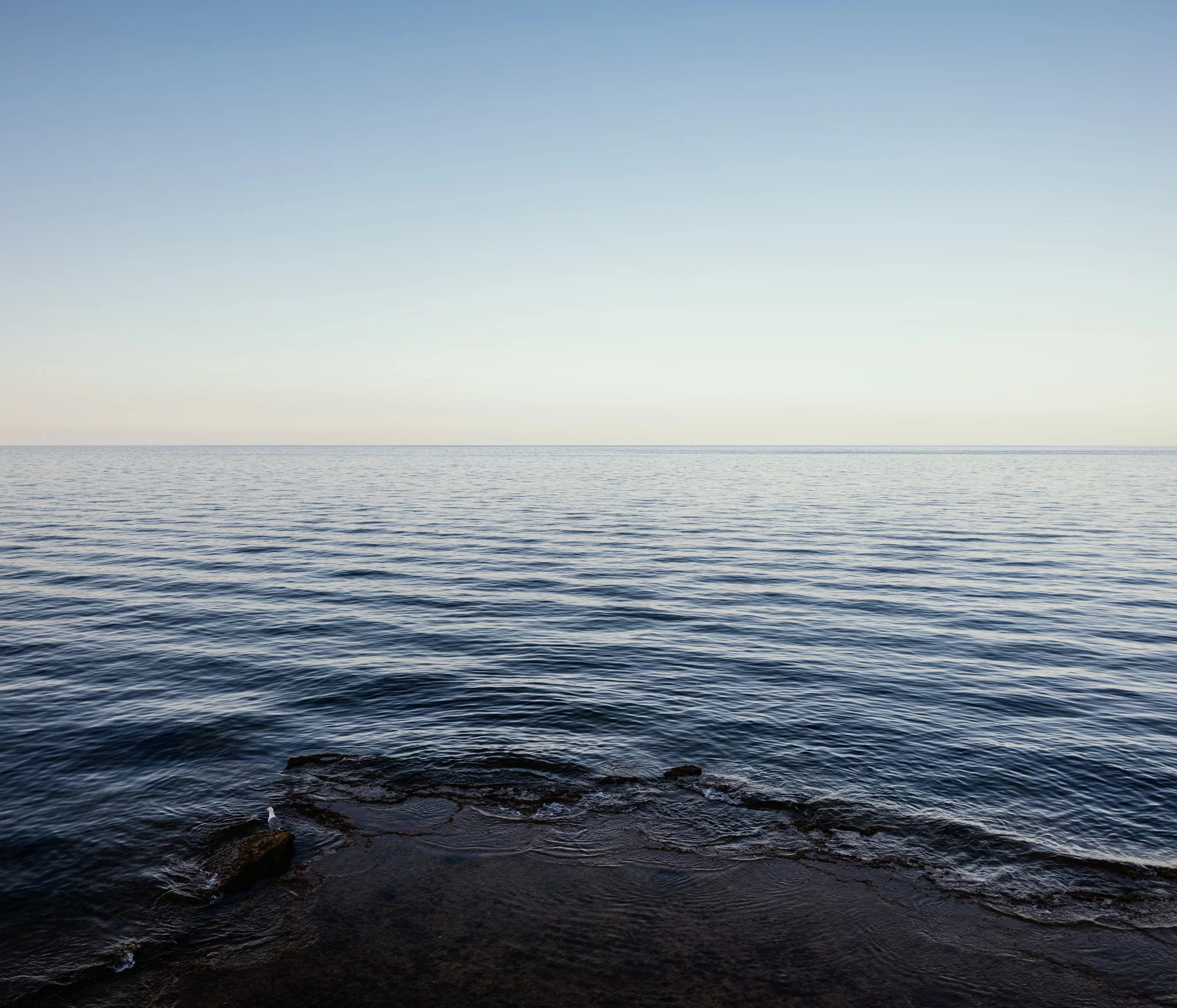 A calm ocean under a clear sky with a rocky shore in the foreground.